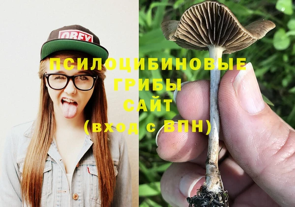 mdpv Липки