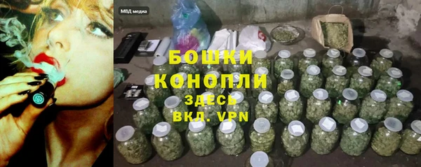 ПСИЛОЦИБИНОВЫЕ ГРИБЫ Лихославль