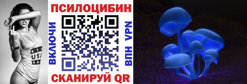 Галлюциногенные грибы Psilocybine cubensis  Орск 