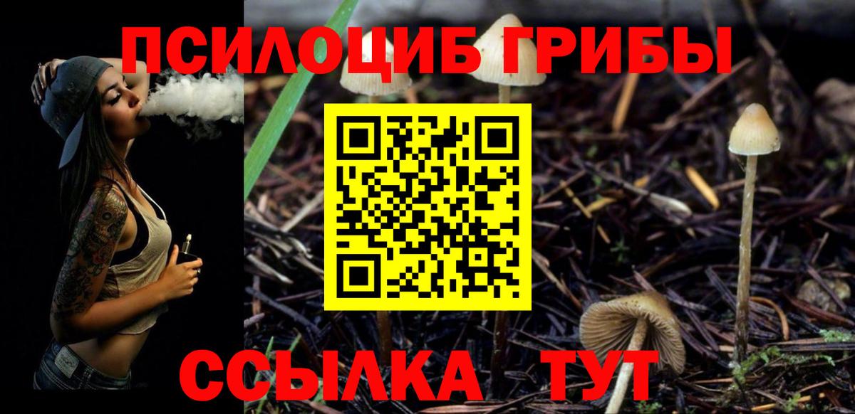 Галлюциногенные грибы Magic Shrooms  Вход с VPN  Орск 